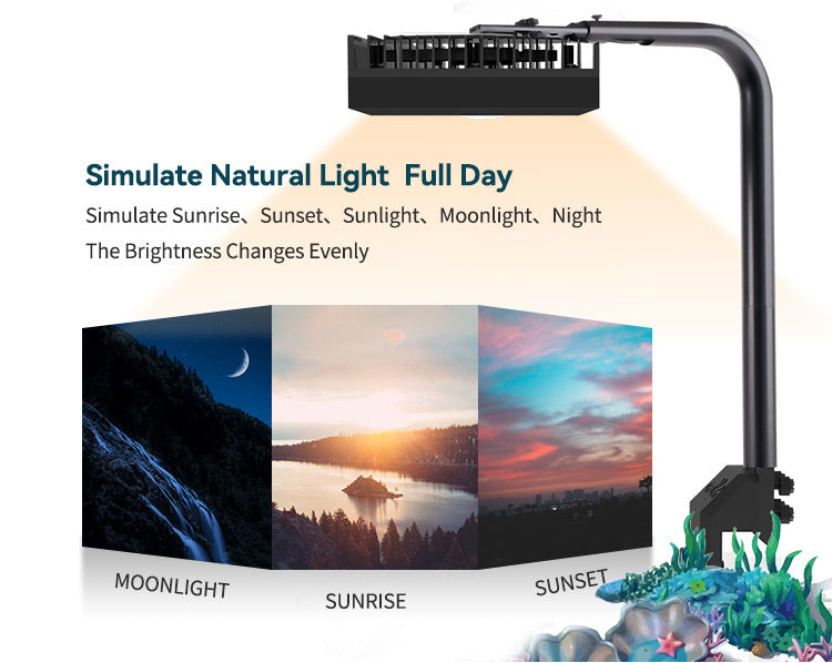 CTLite 6 Channels 95Watt LED Aquarium Light