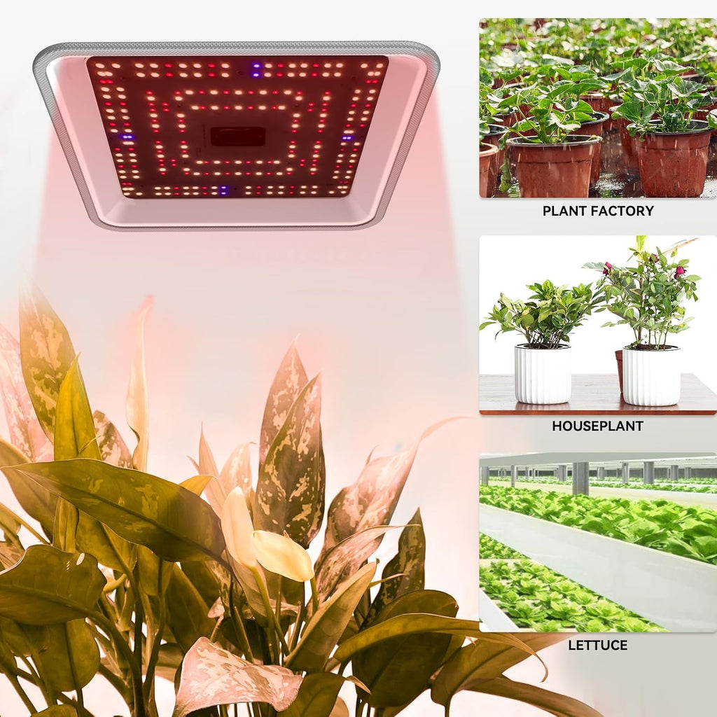 CTLite 60W UV IR 2 channel 10Level Dimming Timing Full Spectrum LED Grow Light For Indoor Horticulture