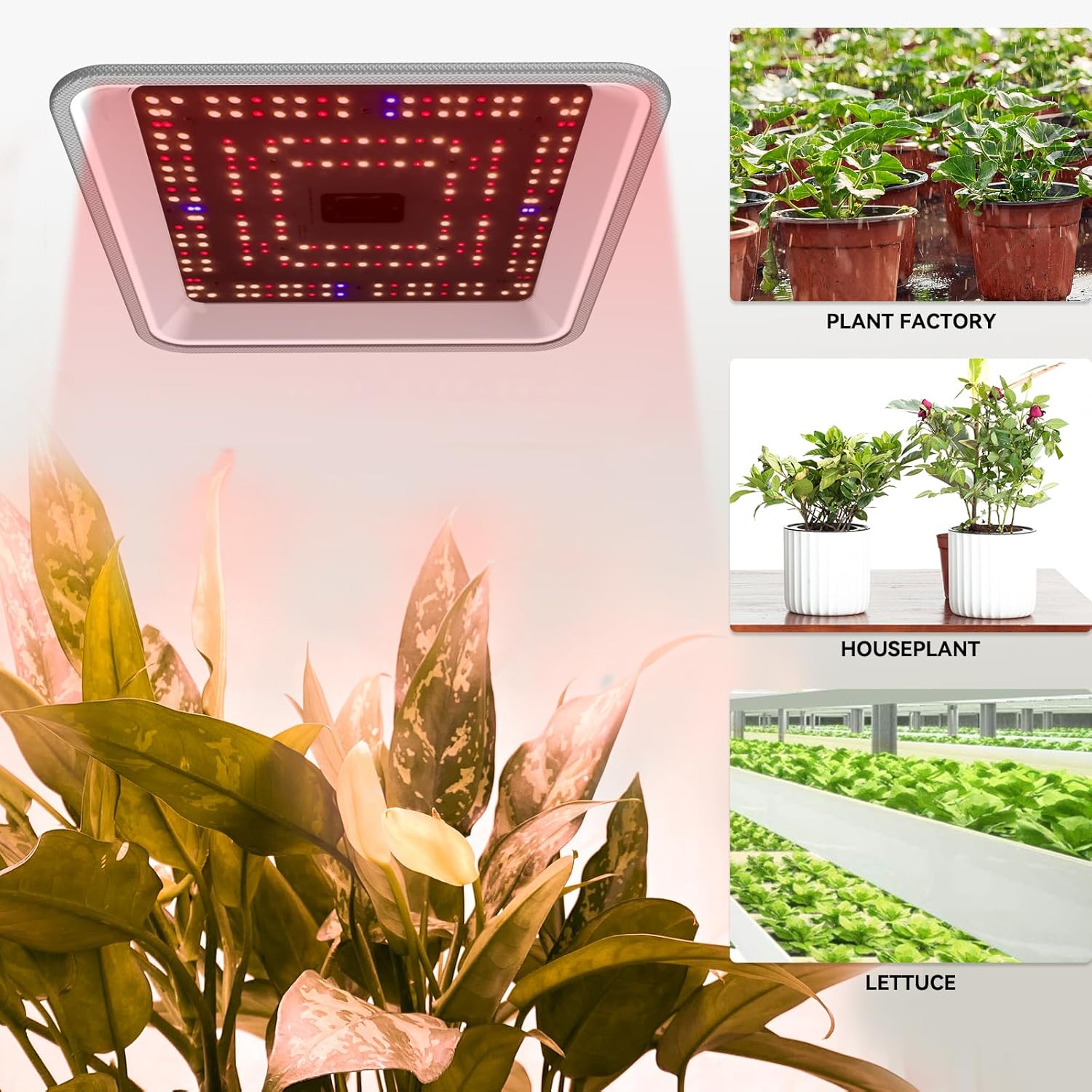 CTLite 60W UV IR 2 channel 10Level Dimming Timing Full Spectrum LED Grow Light For Indoor Horticulture