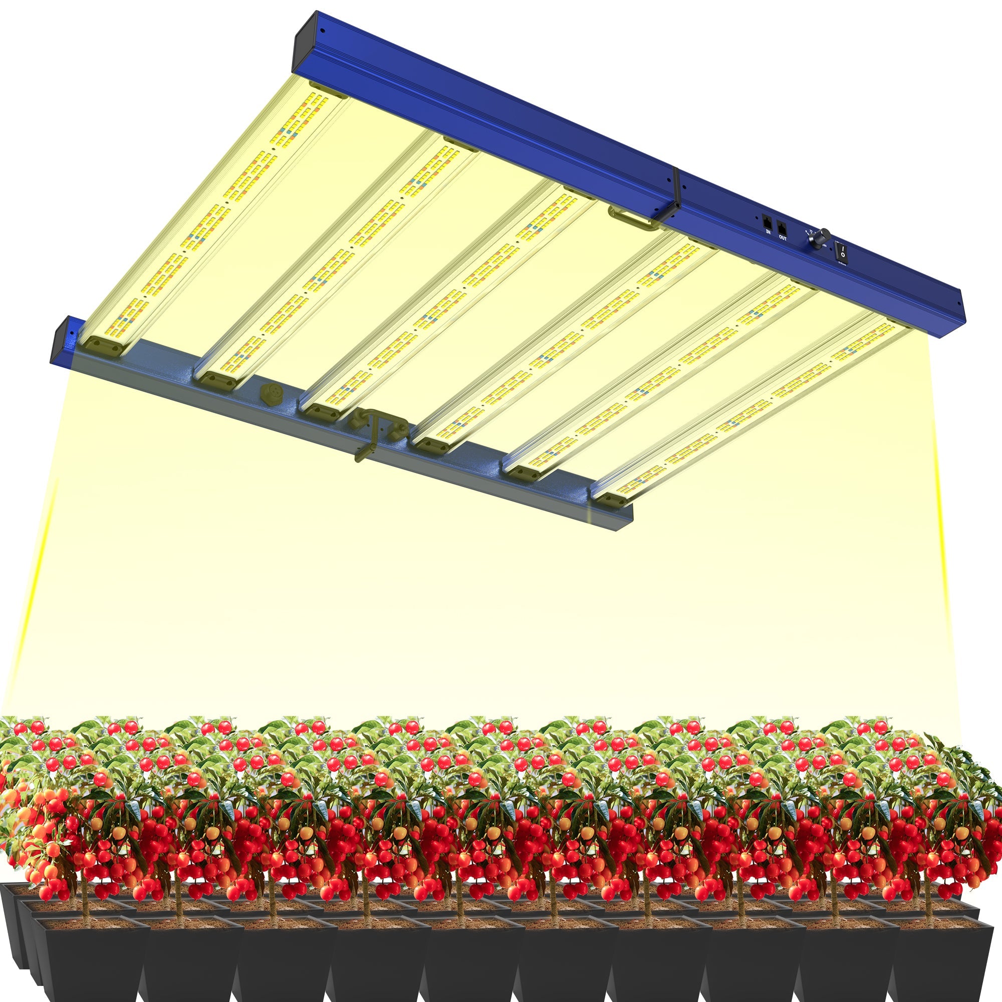 CTLite MC-6-320W LED Grow Lights Daisy Chain 4*4ft Coverage