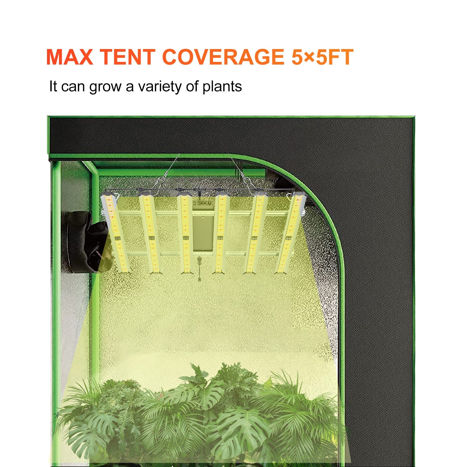 CTLite 320watt 5x5ft 2.8umol/J LED Grow Light Vertical Farming with 3 Years warranty For Indoor Plants