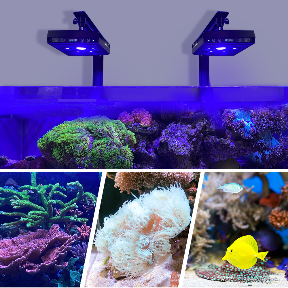 CTLite 3 Channels 60Watt LED Aquarium Light