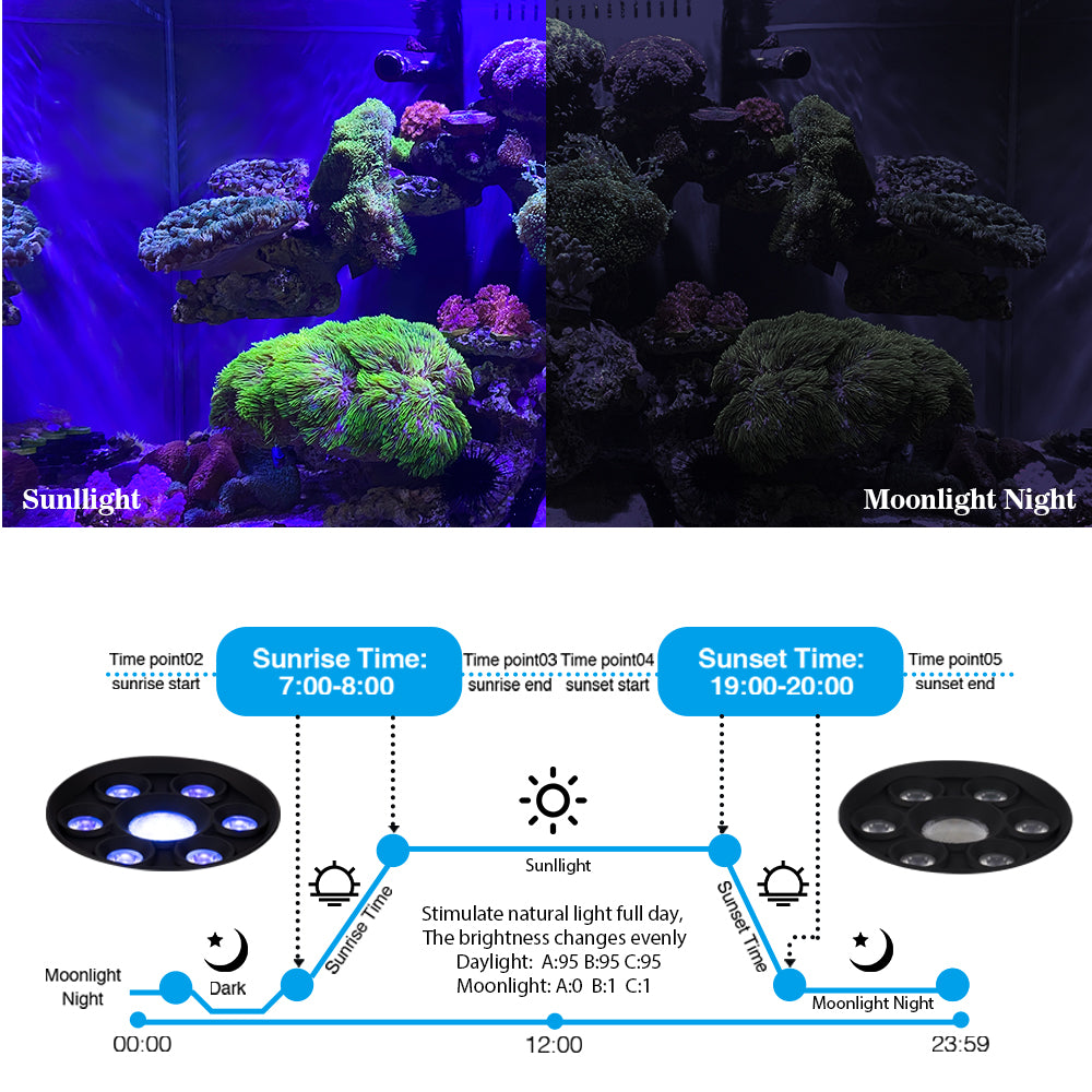 CTLite 3 Channels 60Watt LED Aquarium Light