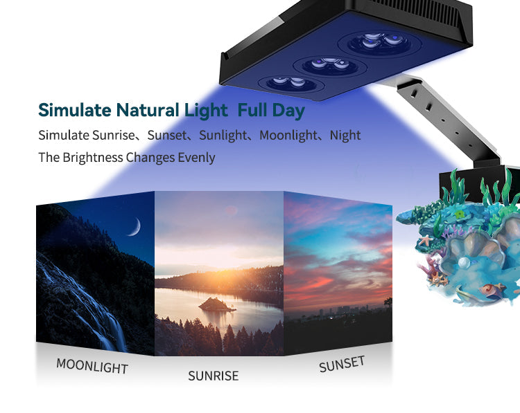 CTLite 30W LED Aquarium Light:2 channels for nano tank