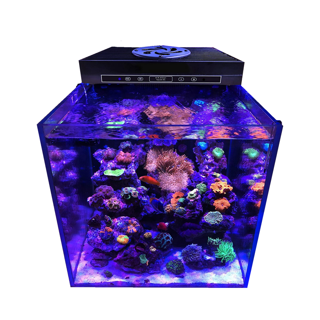 CTLite 6 Channels 95Watt LED Aquarium Light